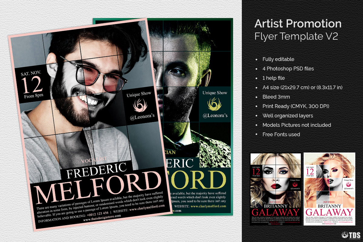 Artist Promotion Flyer Template V2, a Flyer Template by ThatsDesignArt (Photo 2 of 12)