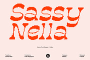 Quiros Pixel, a Serif Font by Craft Supply Co. (Thumbnail 3 of 8)