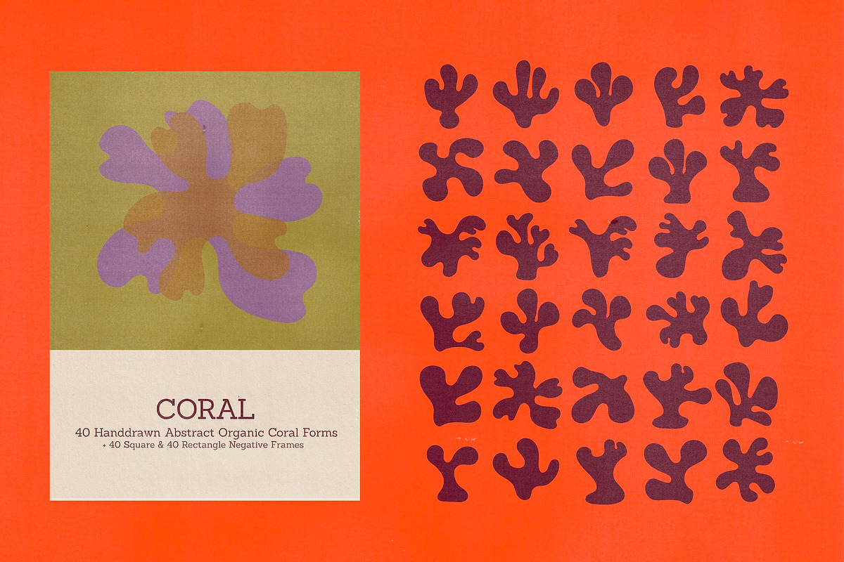 Coral – Hand Drawn Coral Forms, a Decorative Illustration by Madeline ODonoghue Design (Photo 4 of 15)