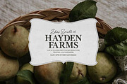 Ingrid & Oliver | Rustic Font Duo, a Handwritten Font by Callie Rian & Co. (Thumbnail 4 of 16)