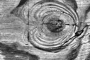 GSTC - Wood grain, a Texture Graphic by The Shop (Thumbnail 31 of 48)