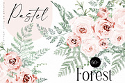 Watercolor Fern and Roses, an Object Illustration by Olga Koelsch (Thumbnail 1 of 15)