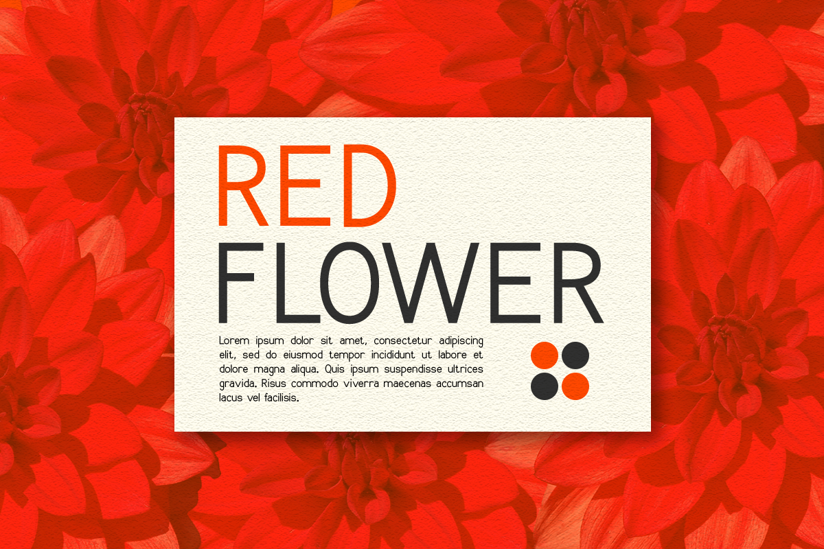 Colossia – Thin Sans Serif Font, a Sans Serif Font by Vadovastd (Photo 4 of 7)