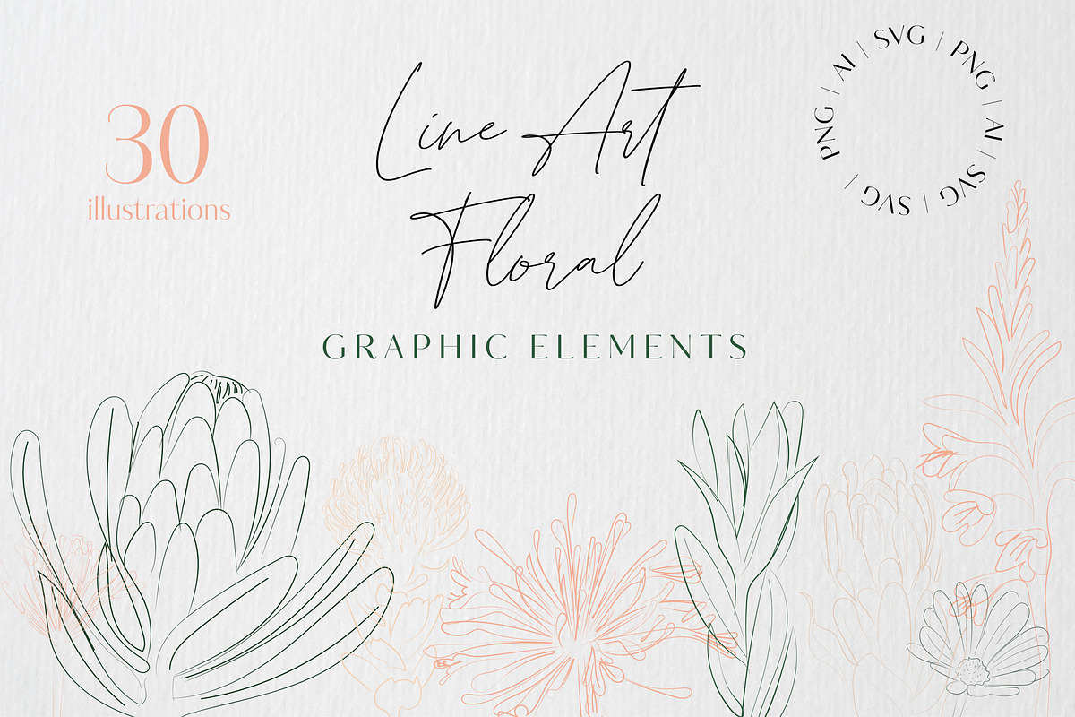 Line Art Floral Graphic Elements, a Decorative Illustration by CL Creative Studio (Photo 1 of 11)