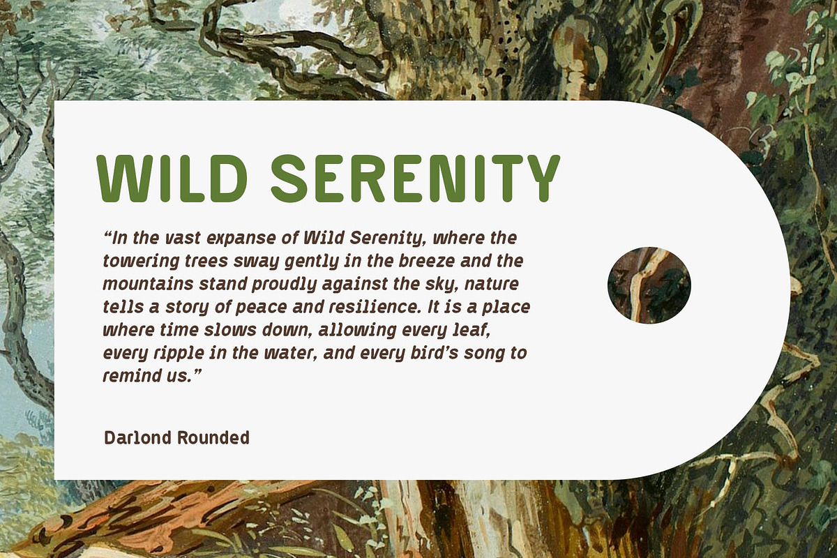 Darlond Rounded, a Sans Serif Font by Craft Supply Co. (Photo 6 of 8)