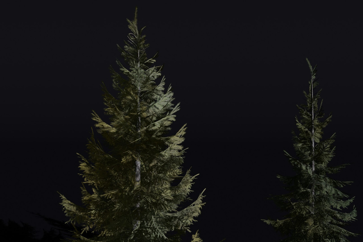 The Siberian Spruce Tree, a Plants & Tree 3D Model by FuturePastCreatives (Photo 1 of 6)