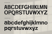 Kingsley - Serif Font, a Serif Font by Alpaprana (Thumbnail 8 of 10)