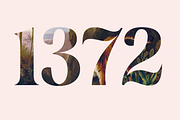 Rasbern — 18 Fonts, a Serif Font by Nasir Udin (Thumbnail 9 of 17)