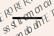 HEROVA, a Serif Font by Gatype (Thumbnail 11 of 13)