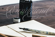 Bustra Script Pro, a Script Font by Alcode (Thumbnail 11 of 18)