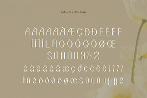 Savio Display Font