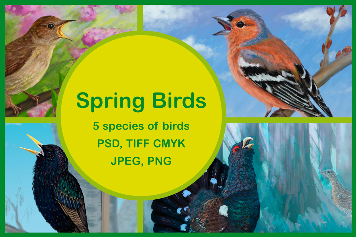 Spring Birds, an Animal Illustration by Viraiv Market | Creative Market