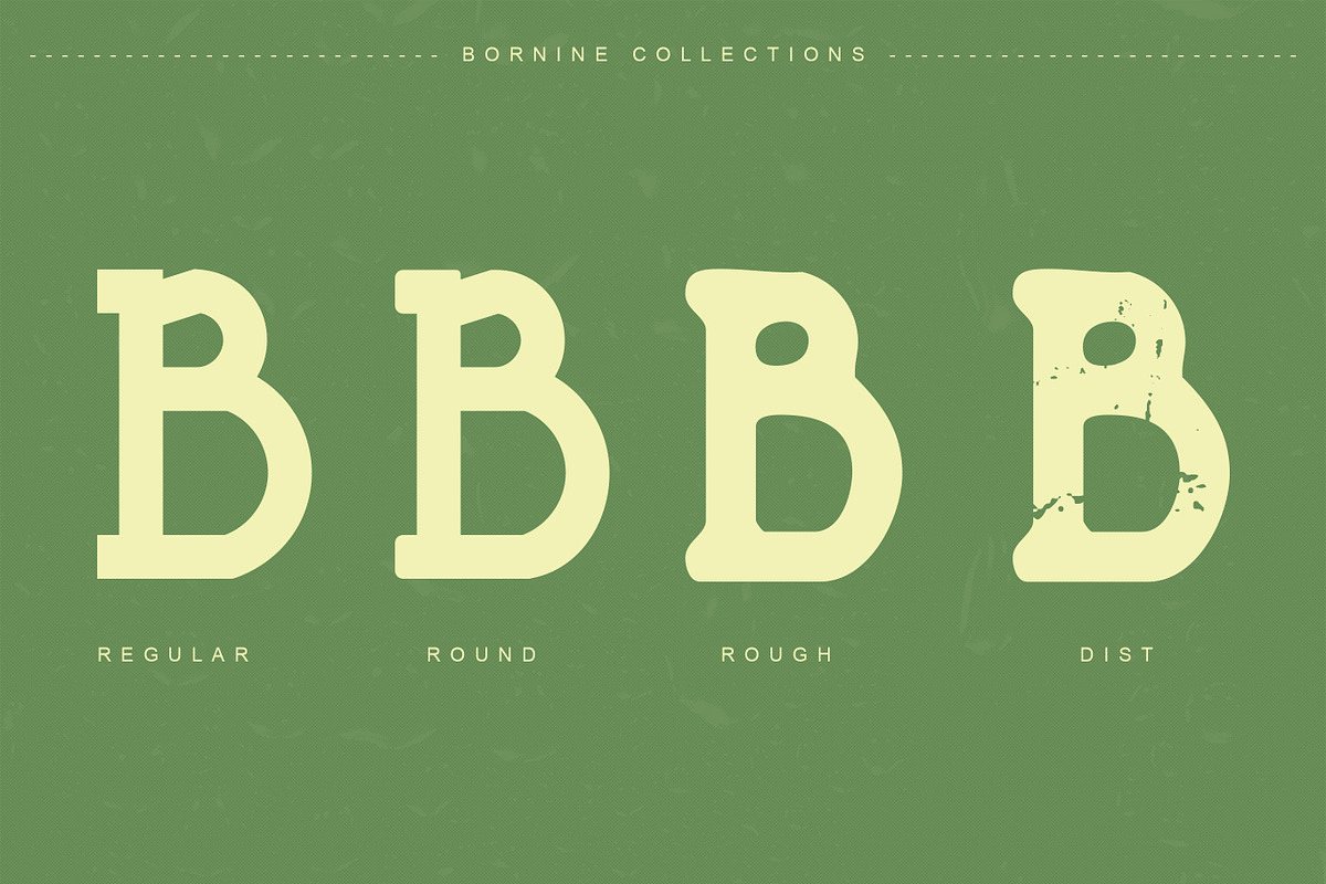Bornine display typeface family, a Slab Serif Font by greatypes studio (Photo 2 of 15)
