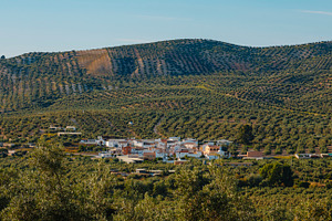Vadofresno in a valley of olive-covered hills, a Photo by Nito