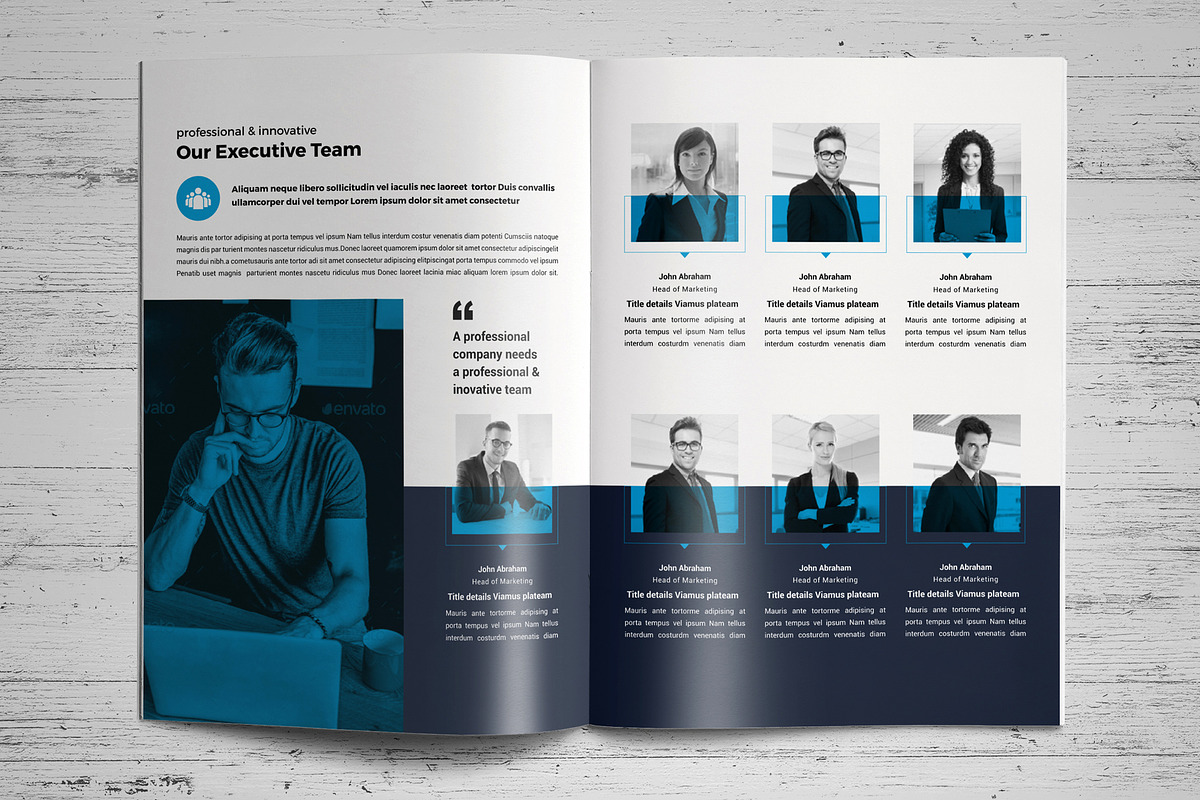 Company Profile Template V8, a Brochure Template by JanySultana (Photo 5 of 14)