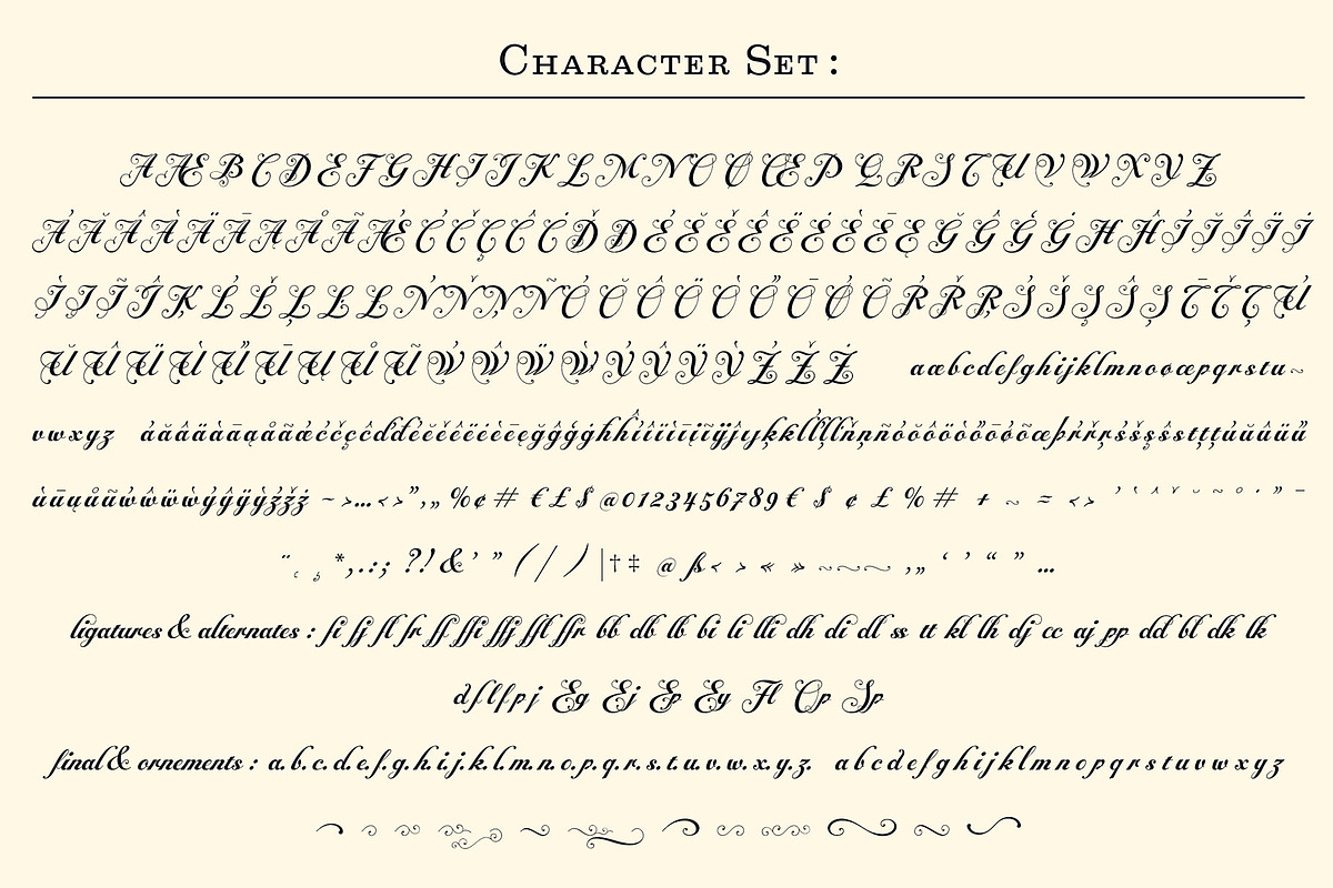 Alipe Script, a Script Font by TeGeType foundry (Photo 6 of 6)