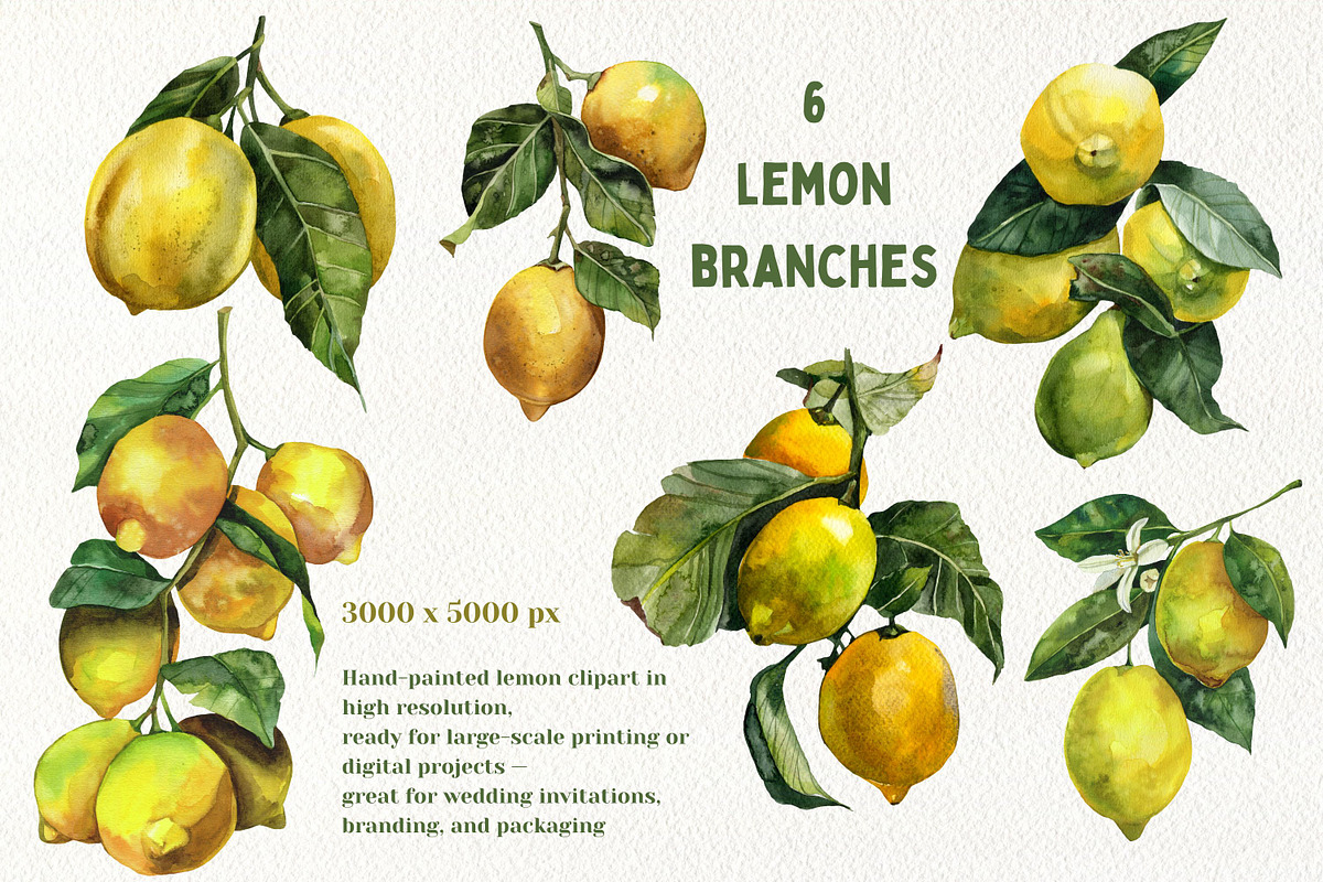 Watercolor Juicy Hand-Painted Lemons, an Object Graphic by Artcard Watercolor (Photo 2 of 9)