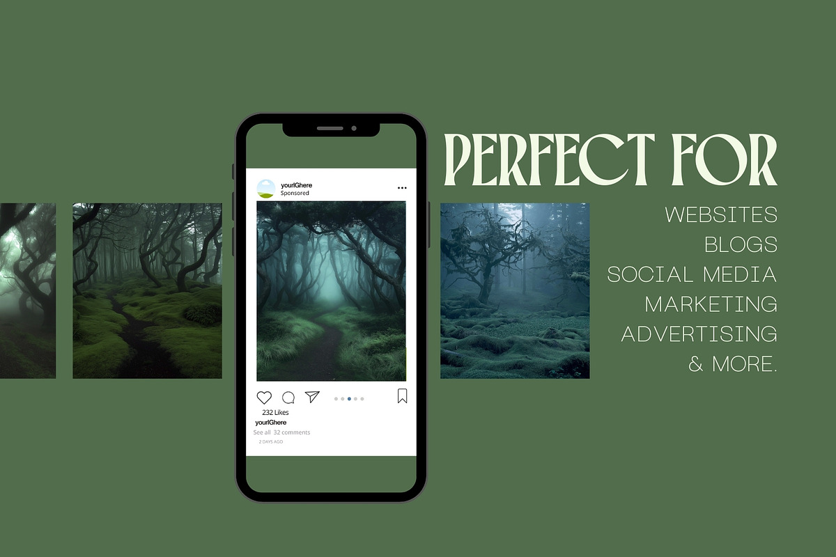 40 Eerie Forest Stock Photos, a Nature Photo by Incomelion (Photo 2 of 13)