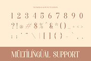 Aslin Alodian | Modern Display Serif, a Serif Font by Denustudios (Thumbnail 14 of 15)