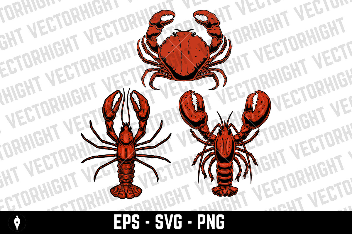 Set of illustrations of a lobster, an Animal Illustration by Vectorhight