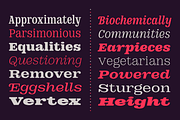 DT Augustina Slab 1 Subfamily, a Slab Serif Font by Deveze Type Foundry (Thumbnail 18 of 31)