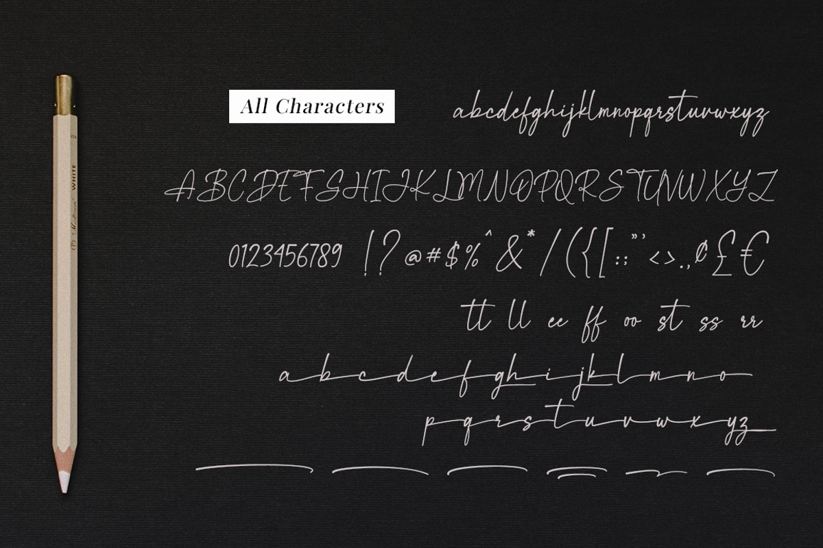 Magnificent Signature Font, a Script Font by Bluestype Studio (Photo 9 of 9)