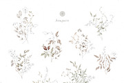 GRACE Floral Watercolor and Line art, a Decorative Illustration by Kreker Kate (Thumbnail 2 of 10)