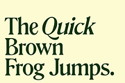 Gertrude - An Ornamental Serif, a Font by Press & Pen (Thumbnail 7 of 9)