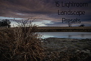 15 Landscape Presets, a Preset Add-On by cw_kennedy (Thumbnail 1 of 6)