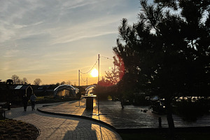 Serene park walkway at sunset with silhouetted trees and decorative lights, a Photo by AS photostudio