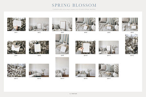 Spring Picture Frames & Card Mockups