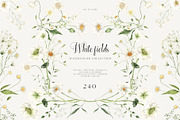 White Fields wildflowers flora, an Education Illustration by LiChu Art (Thumbnail 1 of 12)