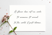 Nottingham City - Signature Font, a Handwritten Font by Fontmine Studio (Thumbnail 6 of 10)