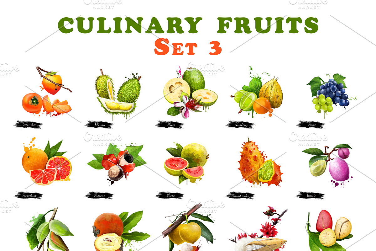 Culinary fruits set  part 3, an Object Graphic by Dneprstock