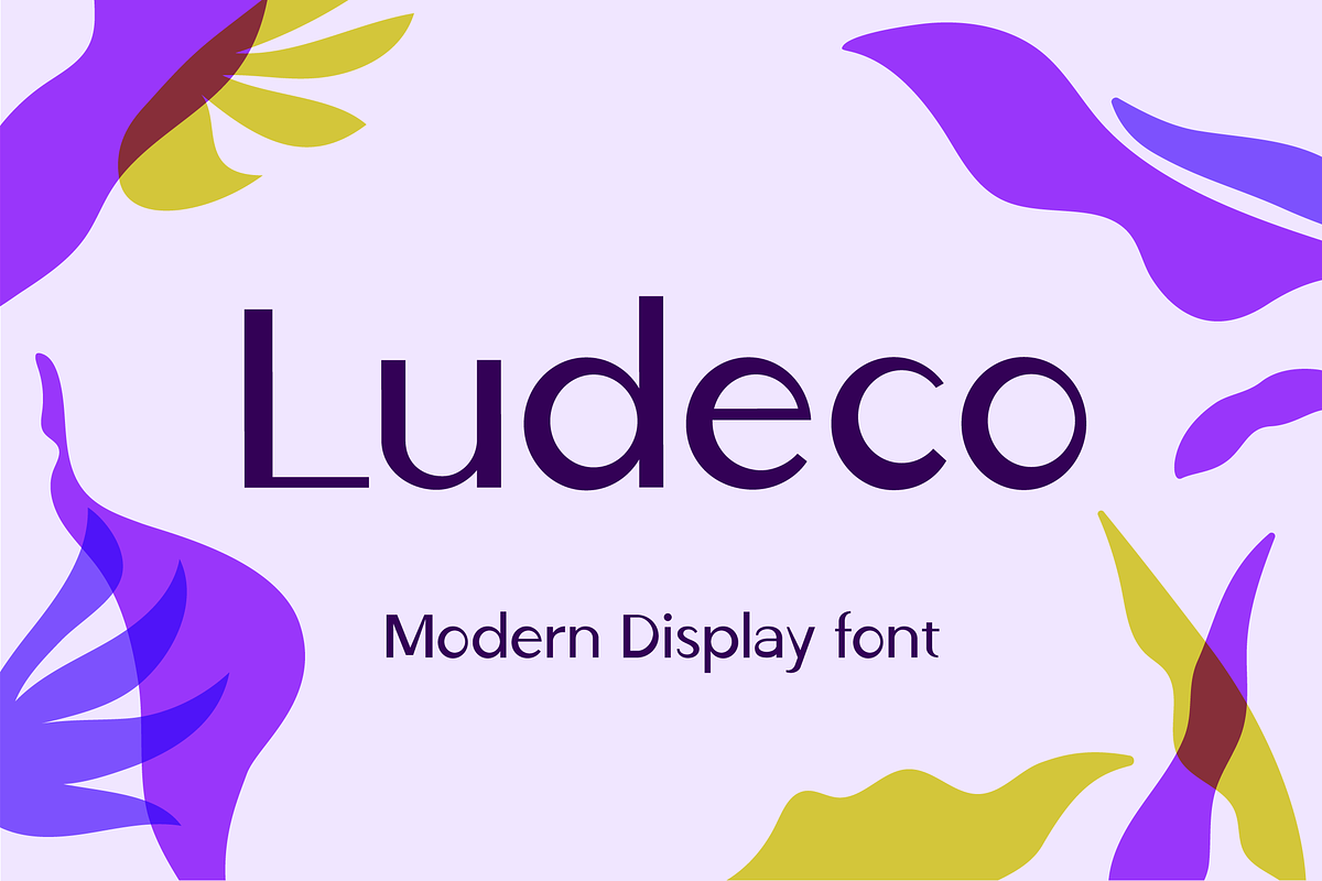 Ludeco Modern Display Font, a Sans Serif Font by Wild Ones (Photo 1 of 11)