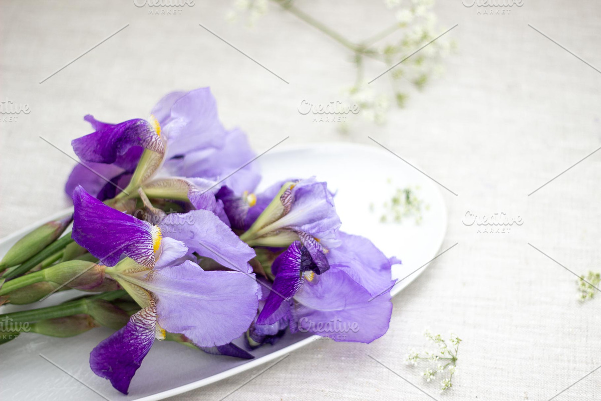 Purple Iris Styled Stock Collection, a Photo by Chalking Up Stock (Photo 17 of 19)