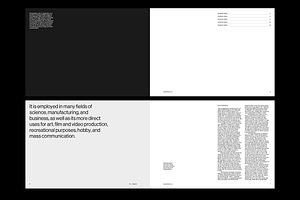 Portfolio Grid System For InDesign