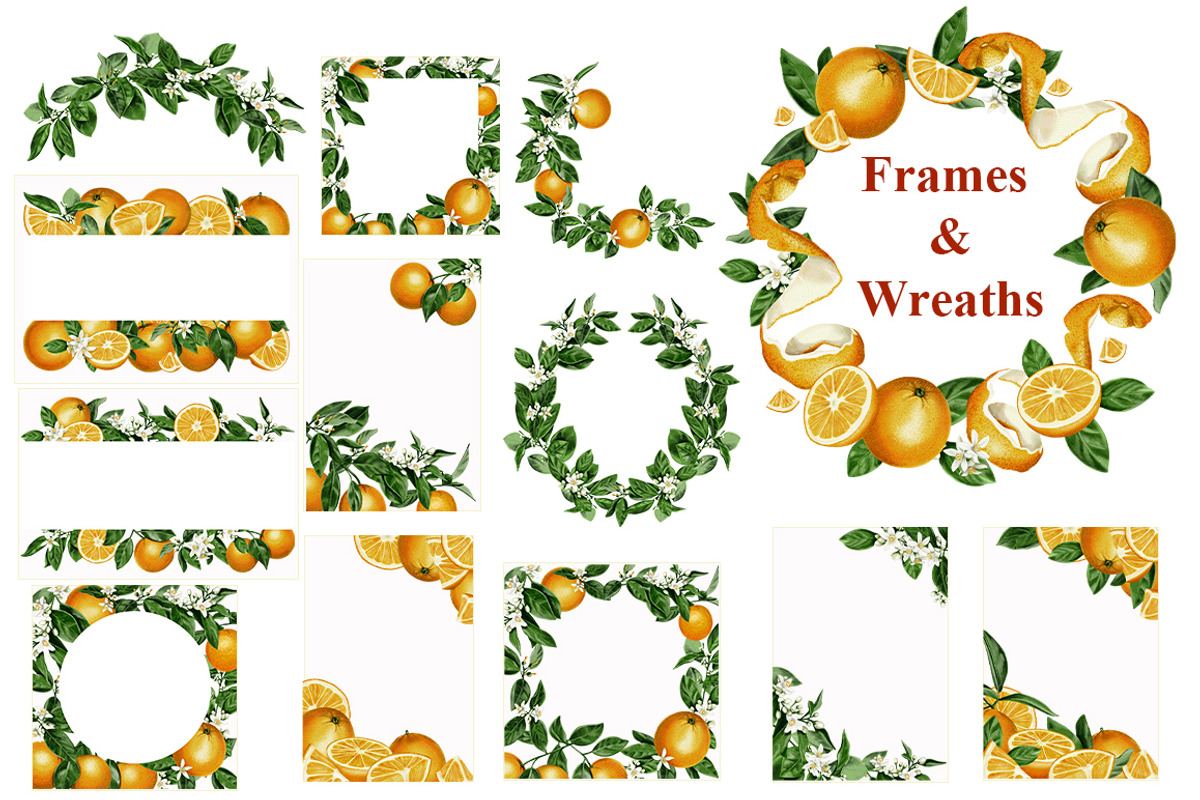 Oranges flowers and fruits clip art, a Food Illustration by Alena Sid (Photo 7 of 14)