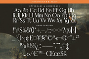 Almoda Karme Modern Display Serif, a Serif Font by timelesstype.co (Thumbnail 19 of 20)