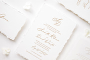 Wonder Garden | Latin&Cyrillic Font, a Script Font by Calamar Studio (Thumbnail 2 of 16)