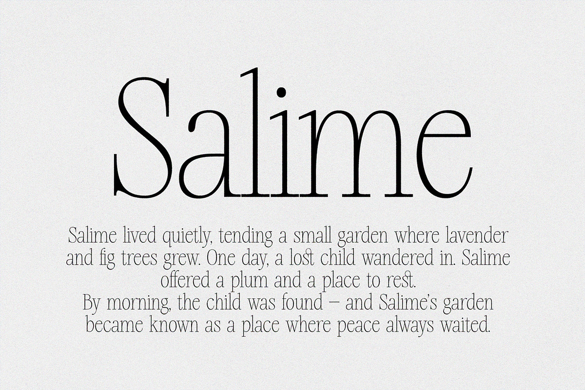 Silver Point–Elegant Editorial Serif, a Serif Font by Issam Type (Photo 15 of 21)