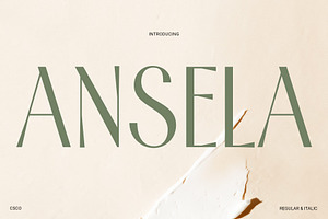 Ansela Elegant Sans