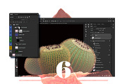 Sahara Flowers #01, a Product Mockup by ARKS ACADEMY (Thumbnail 5 of 10)