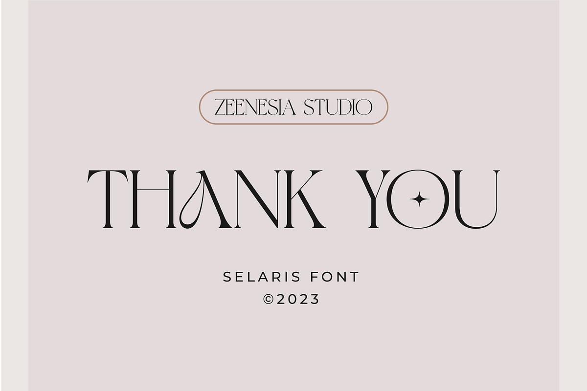 Selaris Modern Serif, a Serif Font by zeenesia (Photo 16 of 16)