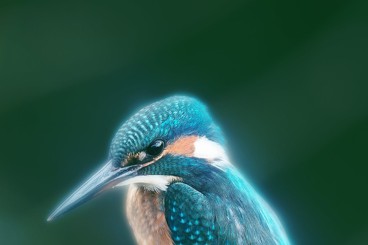 Soft Focus 3 Photoshop Action, an Action Add-On by Sevenstyles