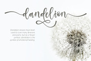 The Glowing Black Queen, a Script Font by Monoco Type Foundry (Thumbnail 9 of 11)