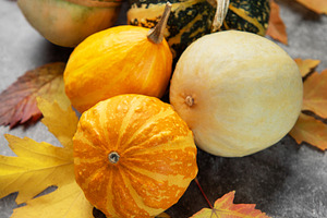 Autumn gourds and squash with colorful fall leaves, a Food & Drink Photo by Olena Rudo