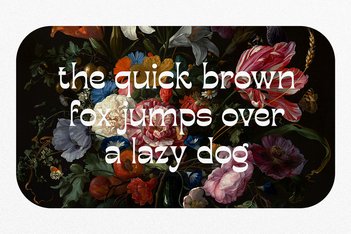 Bougerose a Modern Display Font, a Sans Serif Font by Typetemp Studio (Photo 5 of 16)