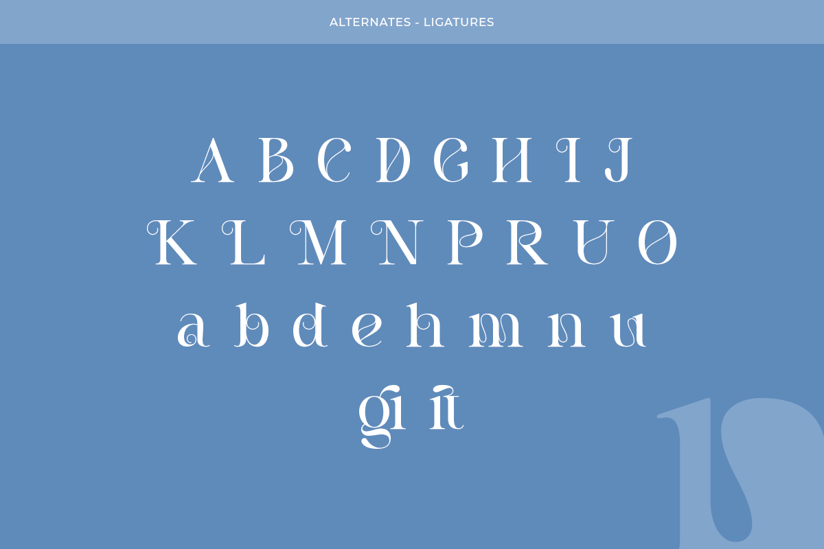 Pritude Radiance - Elegant Branding, a Serif Font by Sohel Studio (Photo 9 of 10)