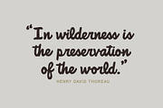 National Forest Font Duo, a Script Font by Rachel Kick (Thumbnail 3 of 12)